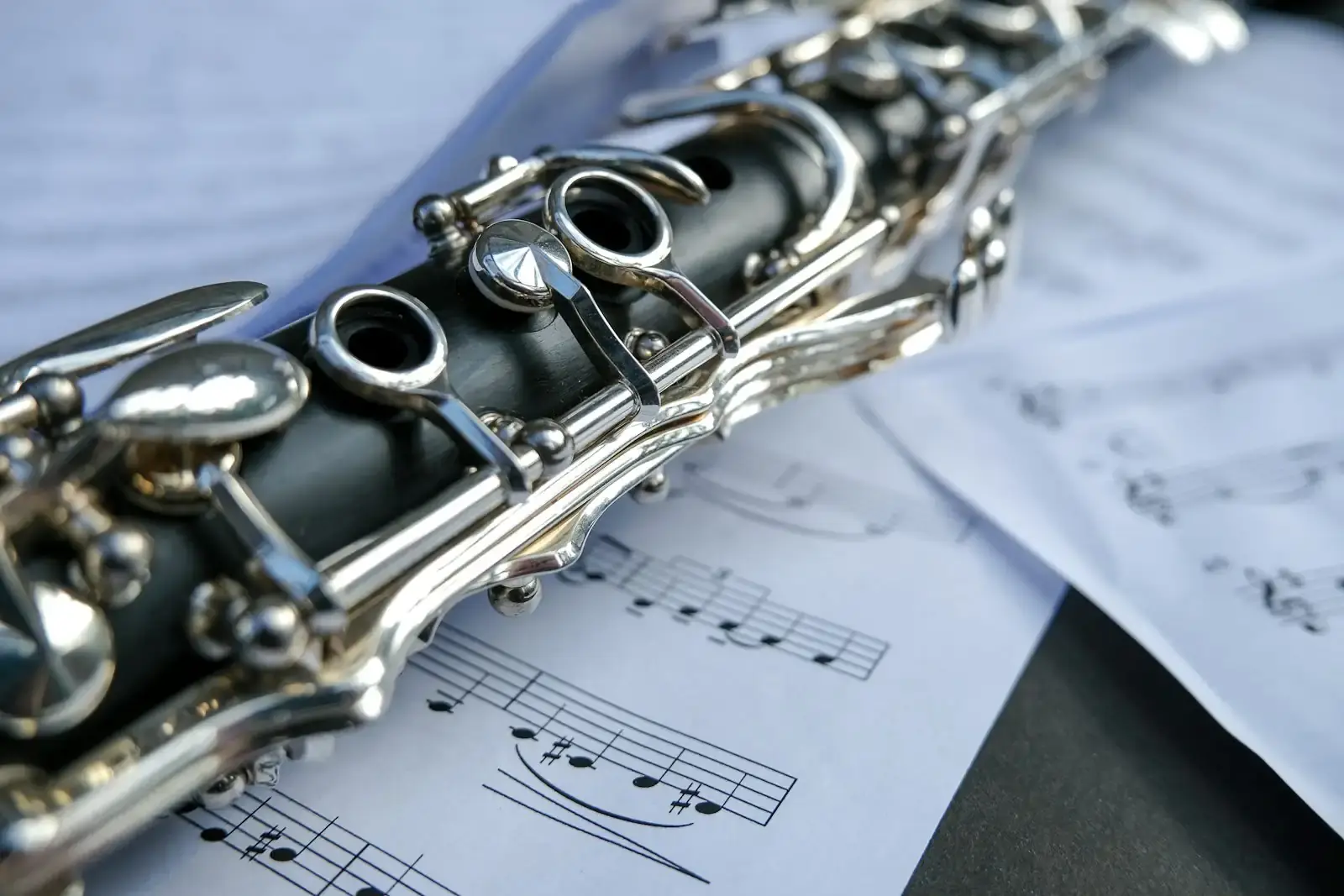 Top Rated Clarinet Teachers and Music Lessons in NYC