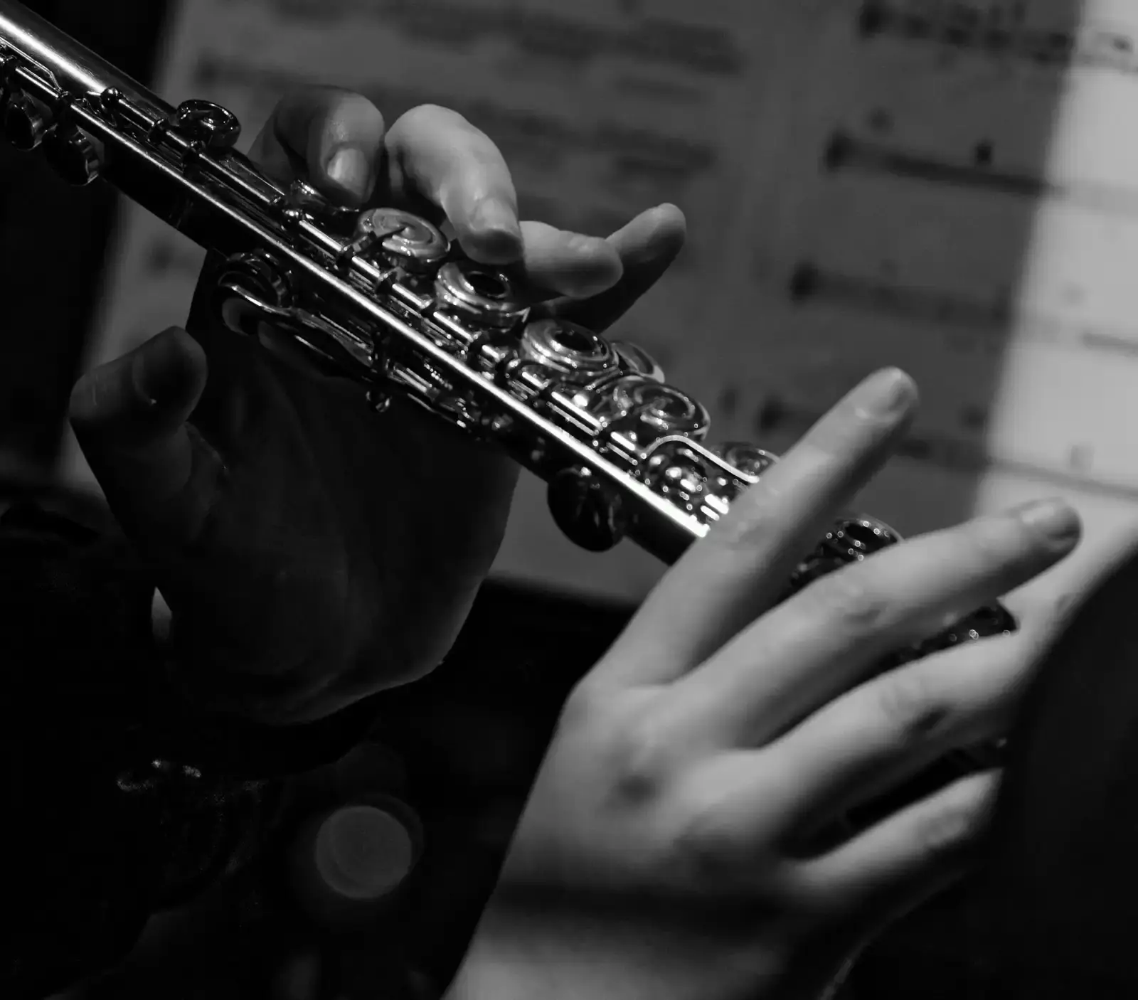 Top Rated Flute Teachers and Music Lessons in NYC